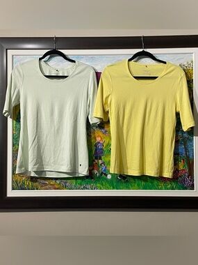 2 for 1 Olsen Europe Lightweight Crewneck Tee in Pale Yellow and Mint Green